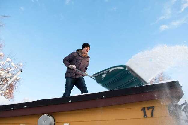 Selecting the Right Winter Diesel Fuel Additives